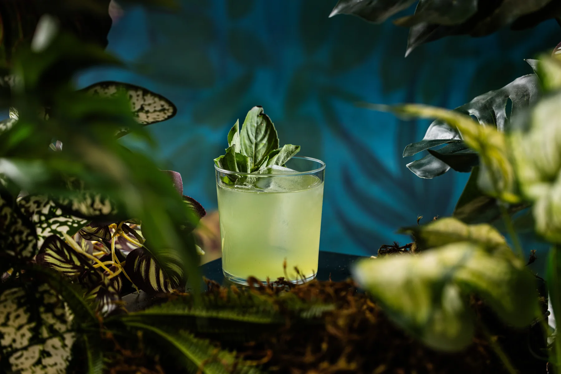 Basil Smash servido em cenário botânico