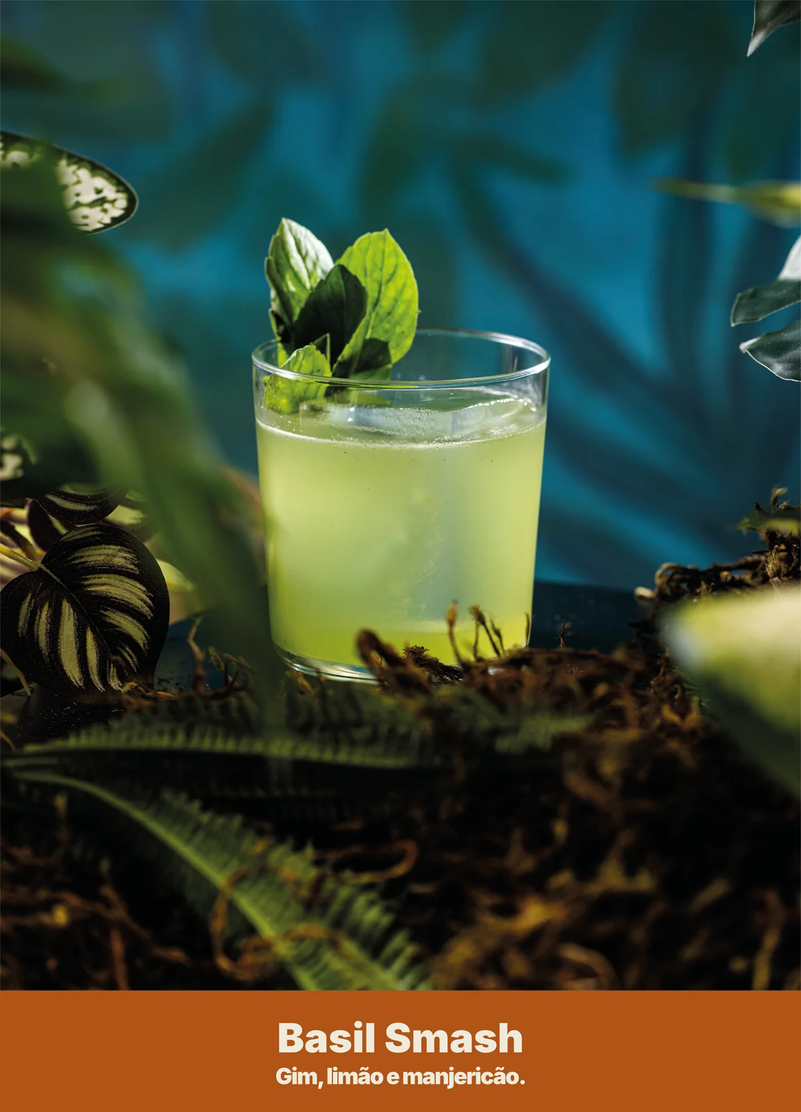 Basil Smash — Clássicos Mundiais