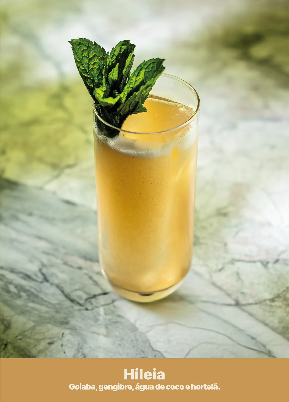 Hiléia — Mocktails